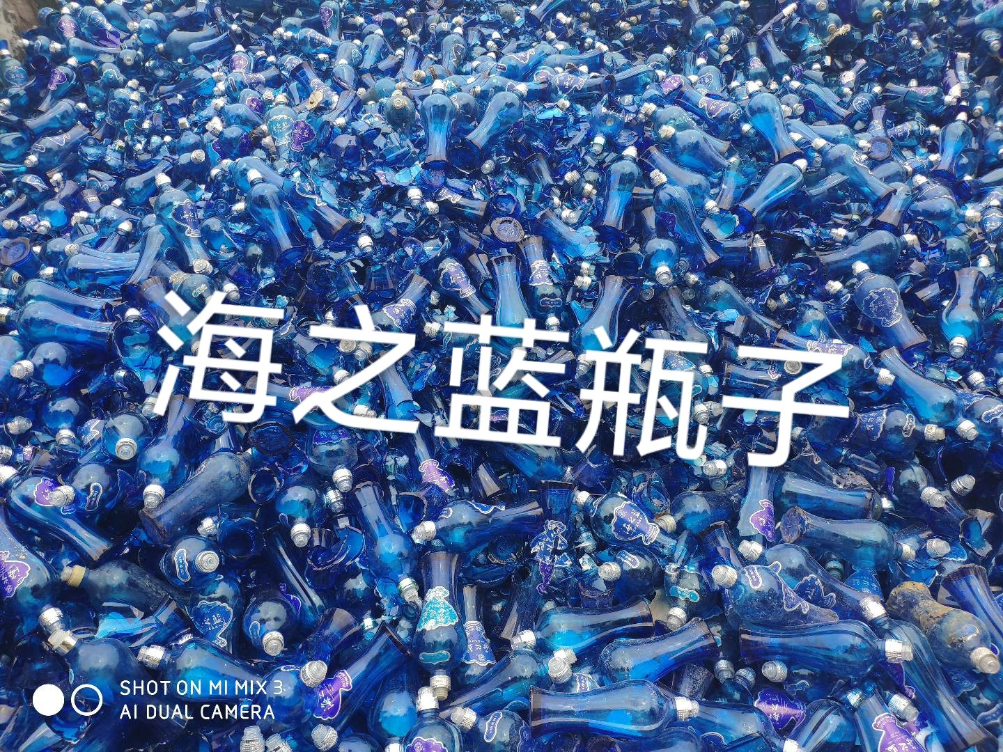 常州海之蓝瓶回收