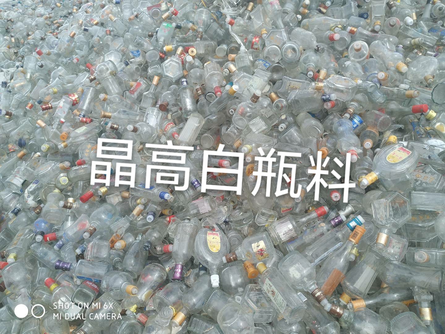 常州晶高白瓶料回收